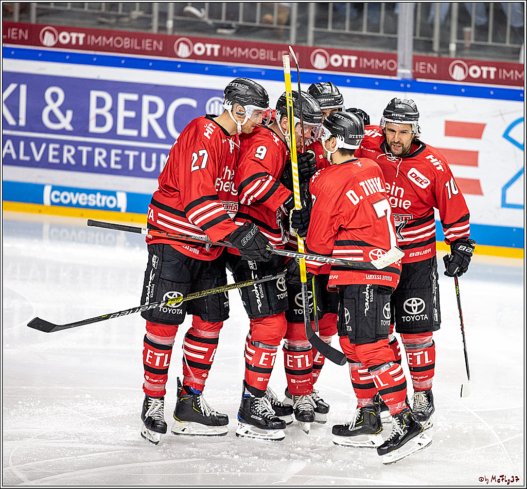 DEL; Koelner Haie - Straubing Tigers; Koeln, 17.11.2019